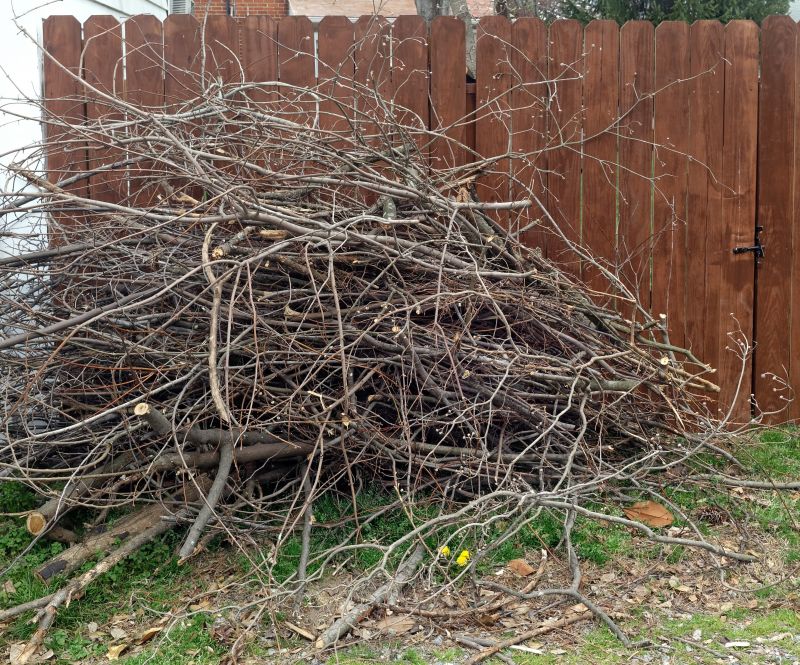 Fallen Branch Removal