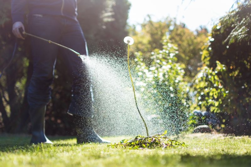 Garden Deweeding