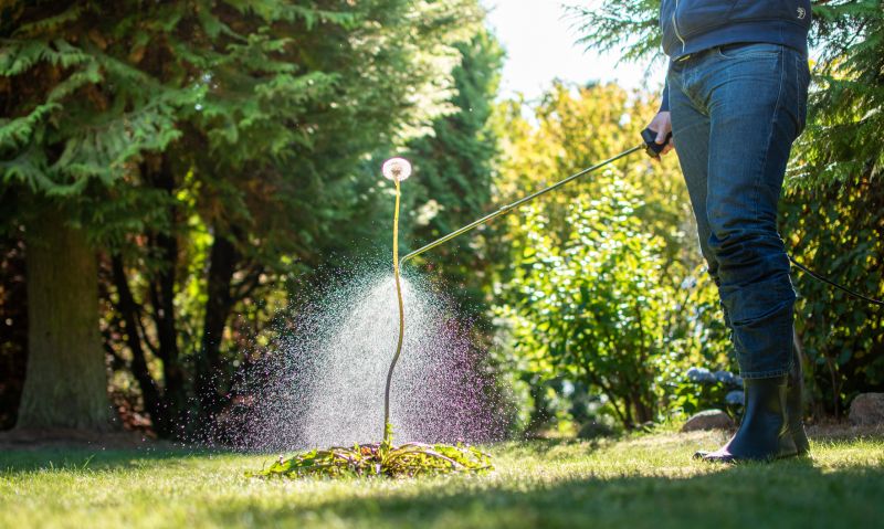Garden Deweeding