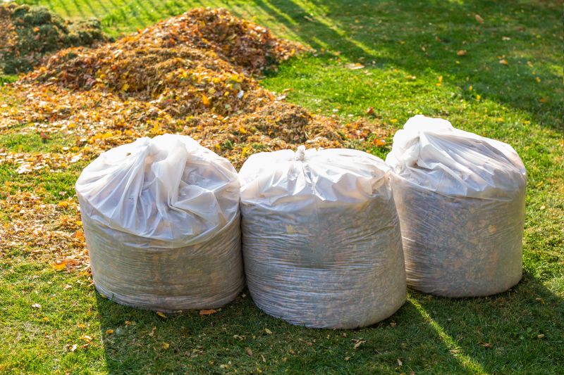 Lawn Debris Cleanup