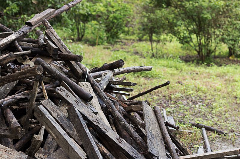 Lawn Debris Cleanup