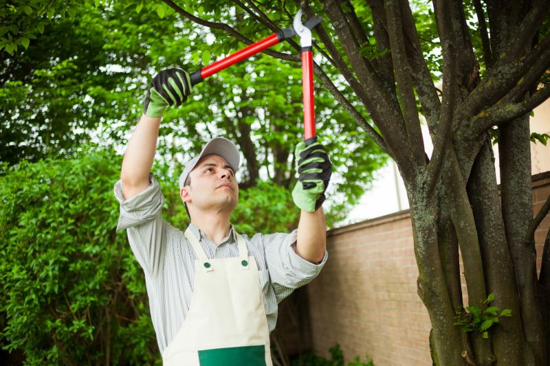 Limbs Removal