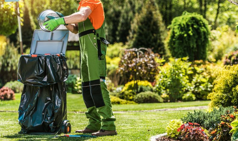 Spring Lawn Cleanup