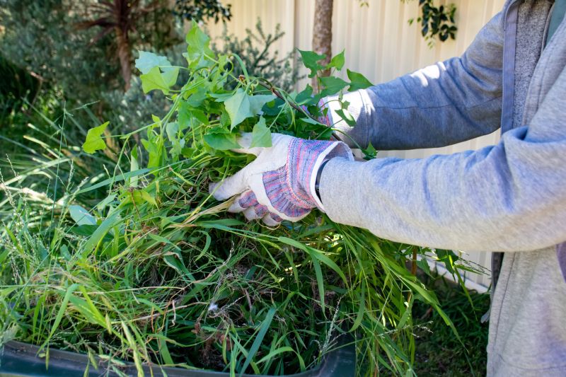 Spring Lawn Cleanup
