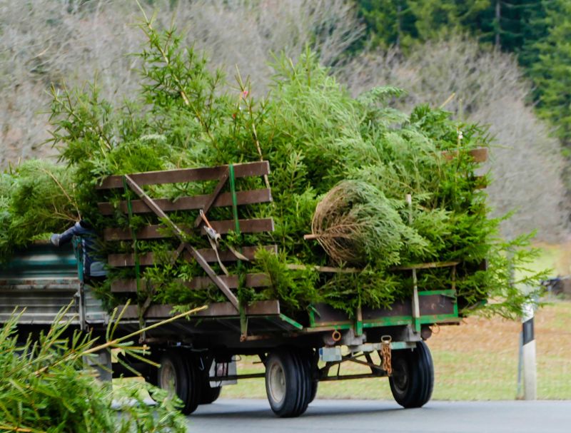 Tree Limb Hauling