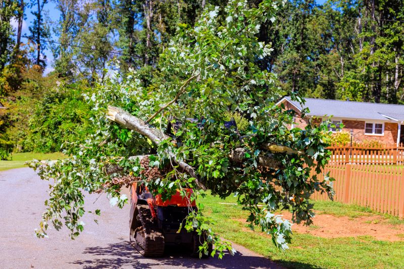 Tree Limb Hauling