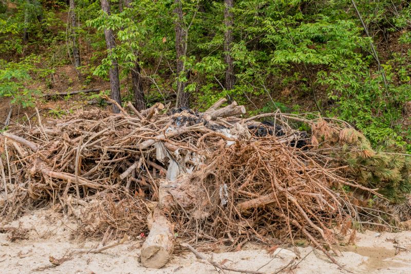Wood Pile Removal